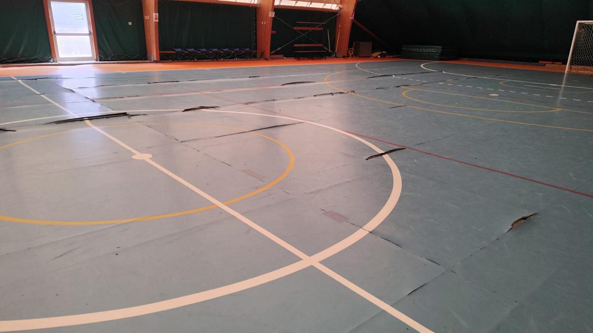 palestra Montecchio