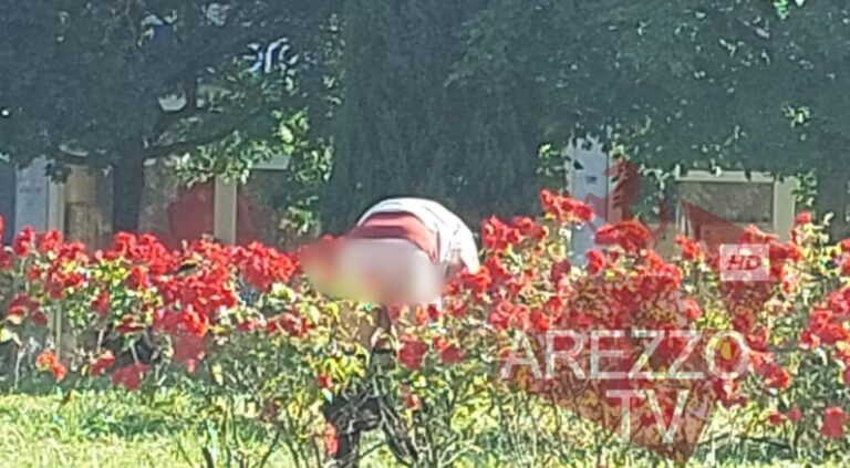 A Saione l’ommo-che-fà-le-feci: l’aiuola è sua
