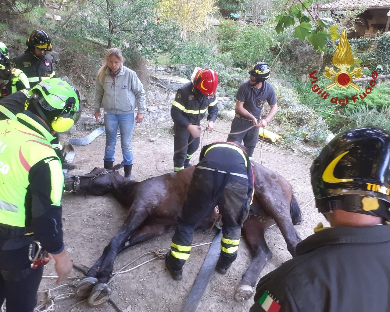 Cavallo recuperato dal torrente