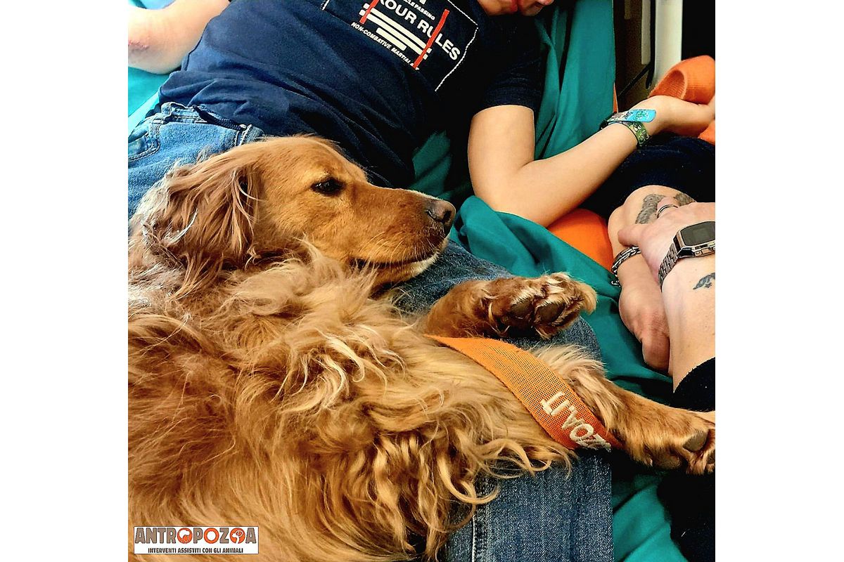 Corso operatori pet therapy