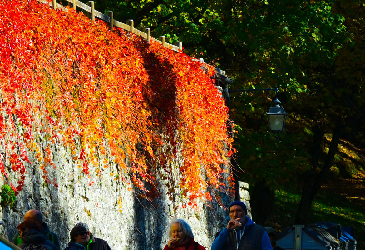 I colori del Casentino (13)