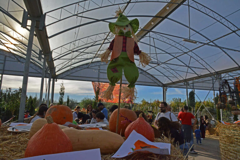 Magia d’autunno: “Il Giardino delle Zucche” da Segantini a Castiglion Fiorentino