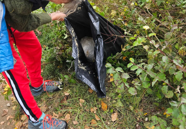 La testa di cazzo colpisce ancora! Ad Arezzo tornano i sacchi della morte e nessuno muove un dito (ma si tappa il naso)