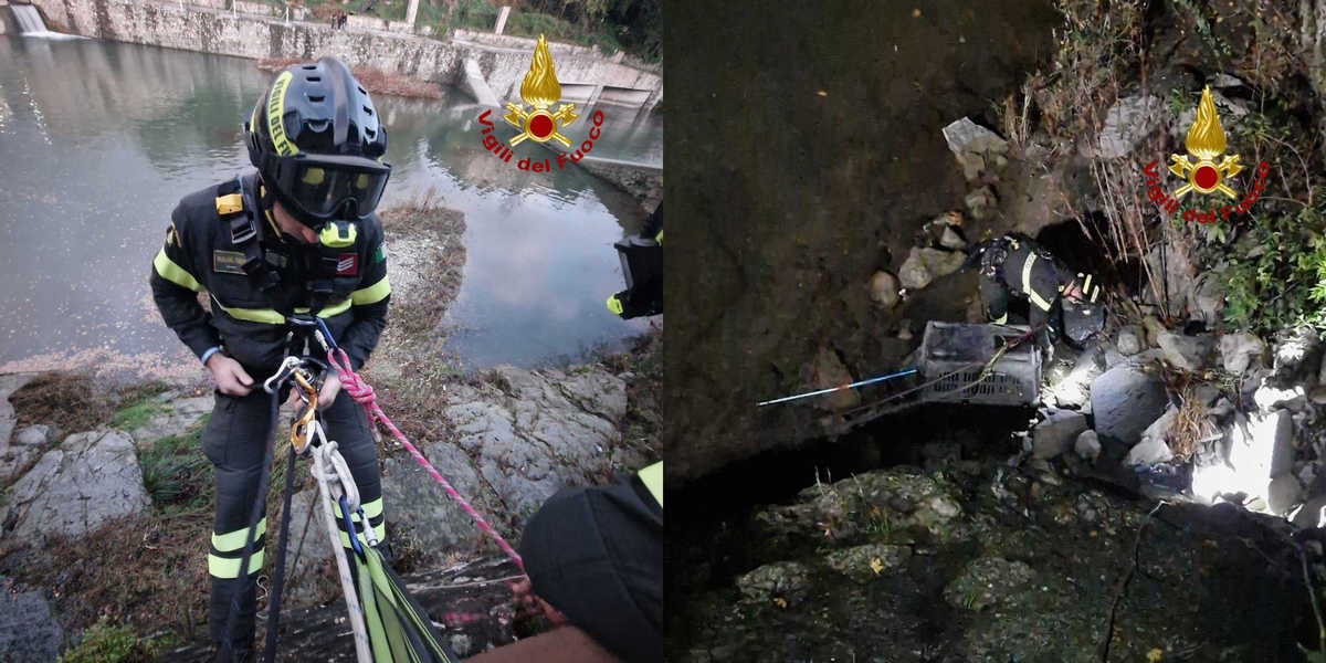 I Vigili del Fuoco salvano un istrice