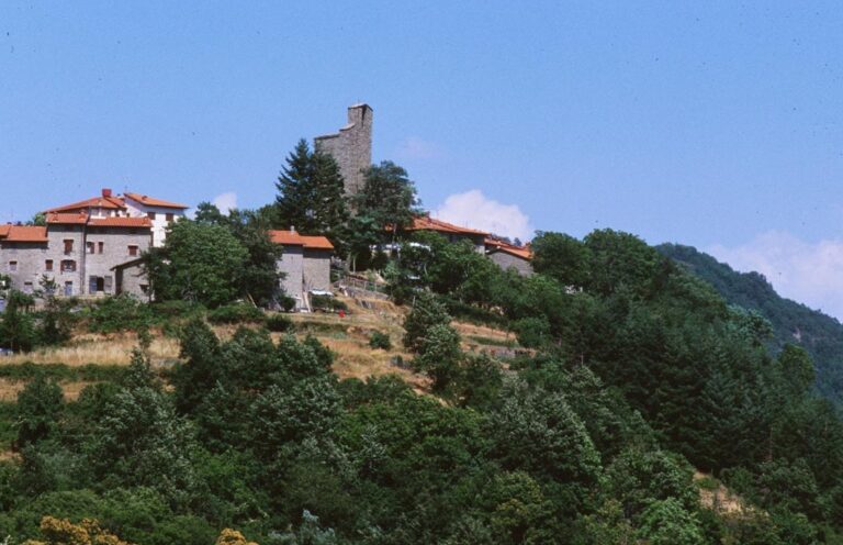 A Montemignaio si accende il Natale: mercatino, 80 presepi e il percorso tra tradizioni e meraviglie del paese dell’albero di Natale