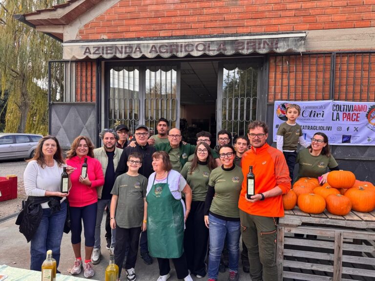 Cortona, al via le feste dell’olio nuovo: sei eventi verso la finale di “Eleiva Cortonensis”