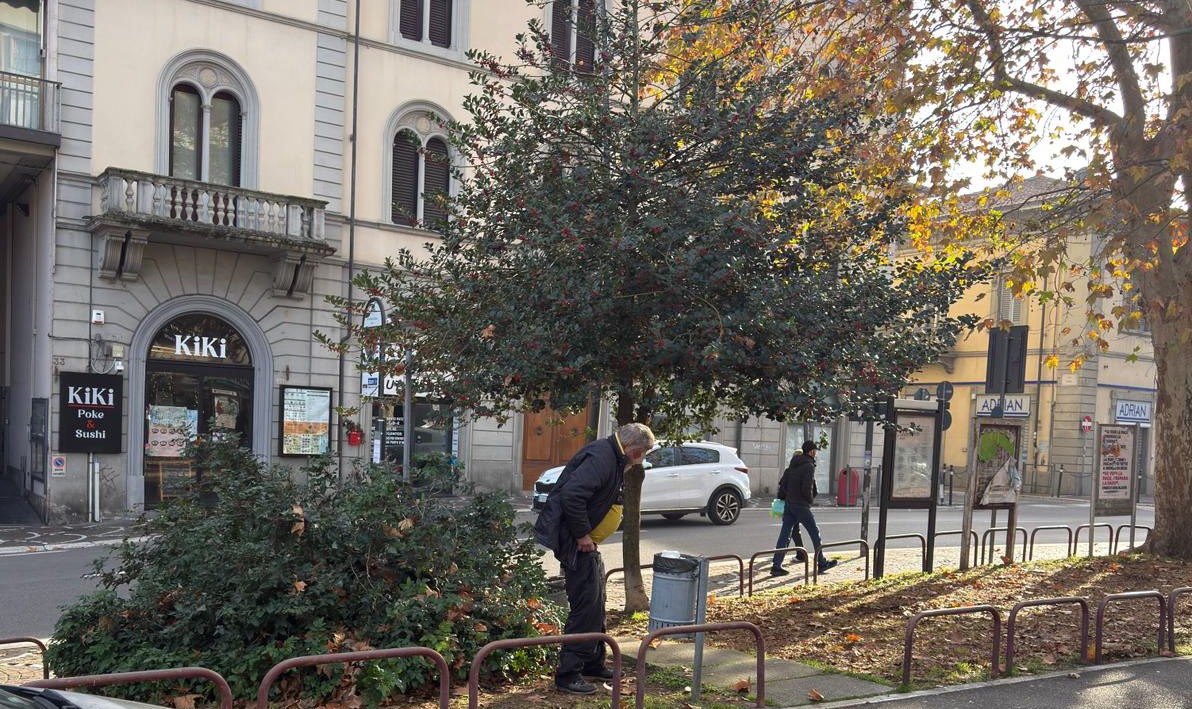 Arezzo nuovo avvistamento nell’aiuola delle meraviglie