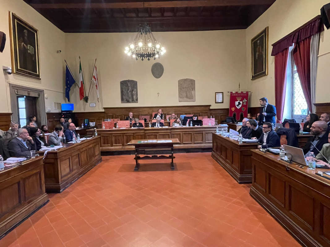 Consiglio comunale (1)