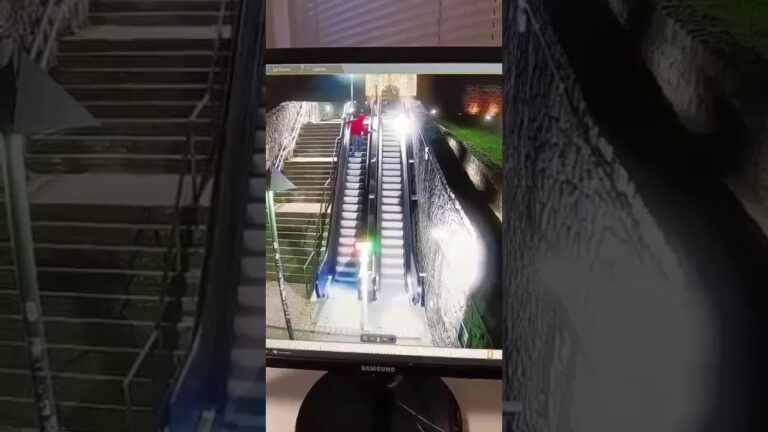 Cinghiali in volo ad Arezzo: nuovo sport estremo tra le scale mobili