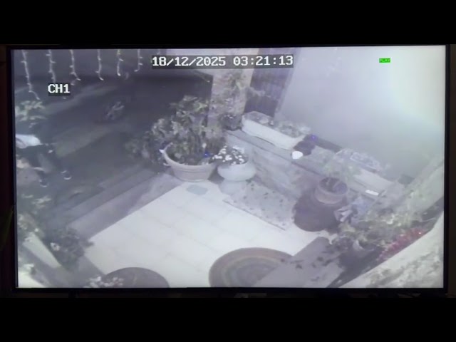 Arezzo, i ladri fanno carriera: dal centro alla collina, ormai è turismo… criminale