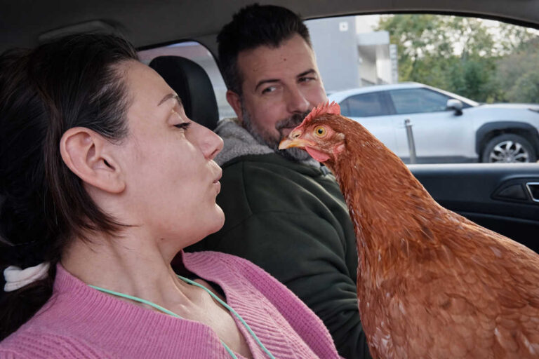 Il mondo al contrario: con la gallina vecchia un si fa più il brodo… si fa la colletta (e pure le castagnole)