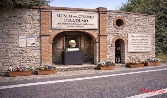 Il muro che non vede nessuno, tra erbacce, memoria corta e una strada dove si corre troppo