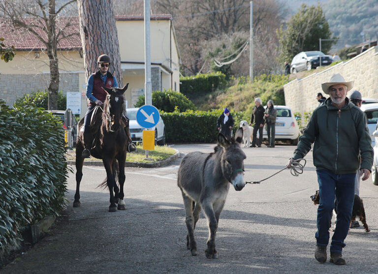 Arezzo, la benedizione degli animali: la tradizione rivive negli scatti di Felice Rogialli