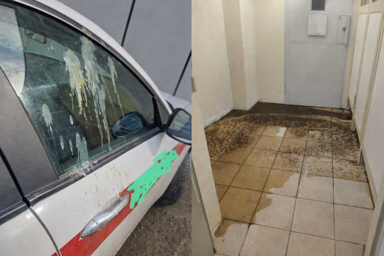 Garage comunale formato voliera: piccioni padroni, vigili ospiti (inermi)
