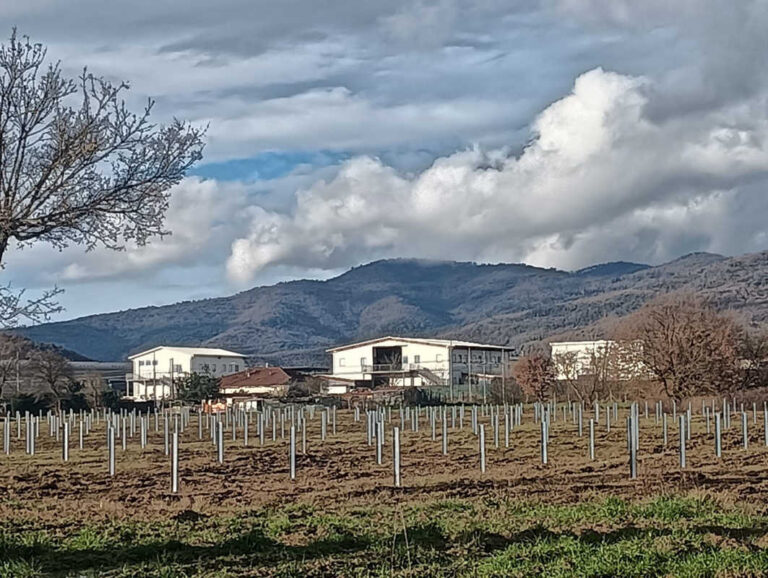 Fotovoltaico senza regole, l’allarme di Rinascimento Castiglionese: «Valdichiana a rischio speculazione»