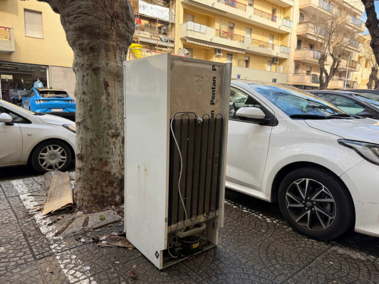 Favole dell’abbandono: Il timidrifero