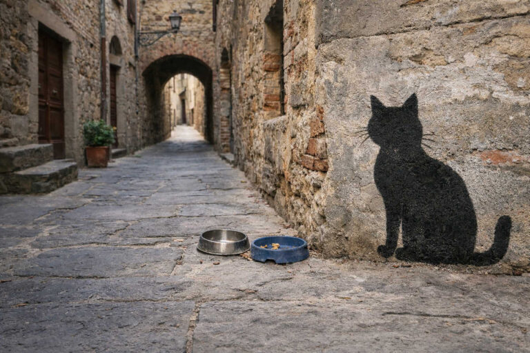 Castiglion Fiorentino: meno umani più gatti, numeri a caso e il paese diventa un foglio excel impazzito