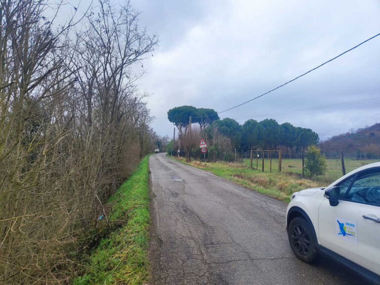 Chiana “spelacchiata” e strada che frana: il Consorzio replica