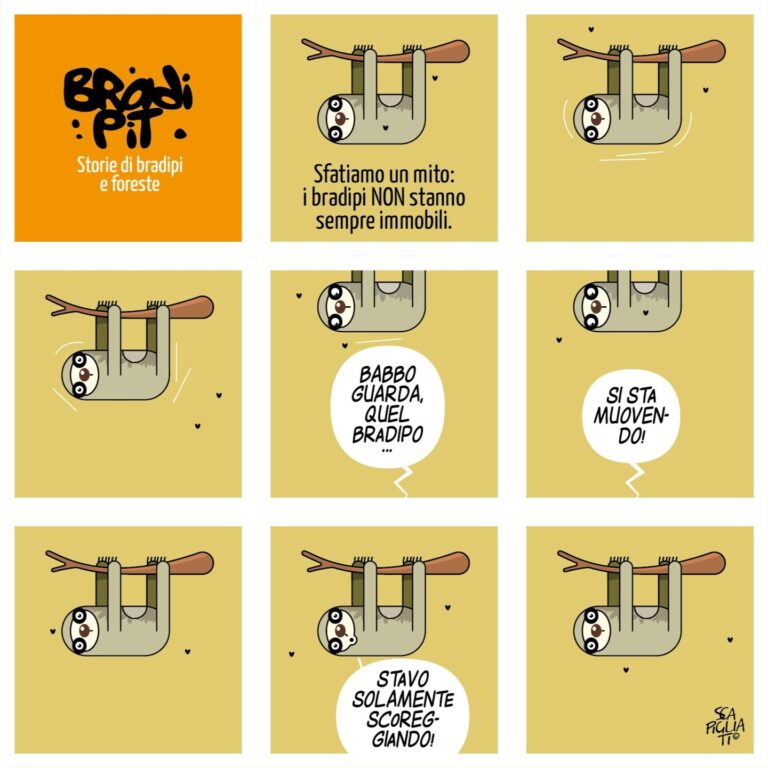 Di flauti e flautolenze
