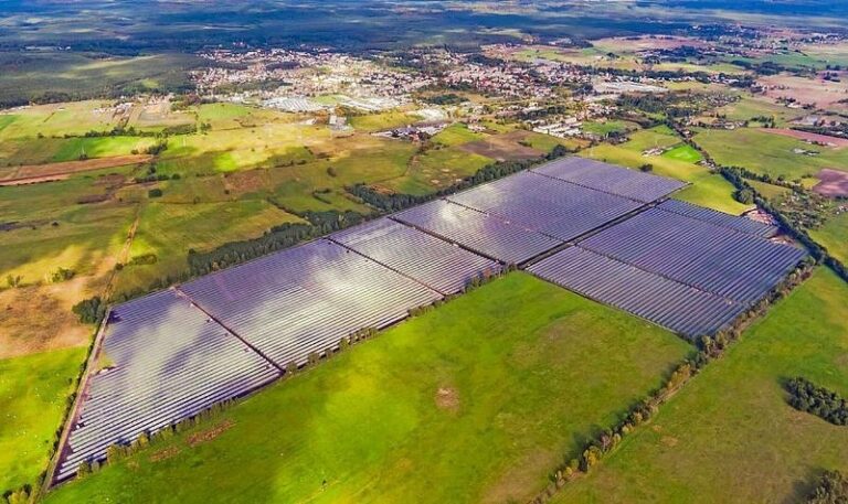 Specchi nei campi e in Comune muti come pesci: Brandi attacca sul fotovoltaico