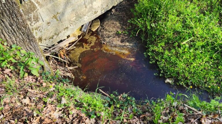 Montevarchi, han fatto un troiaio nel borro: gasolio dall’Ornaccio fino all’Arno