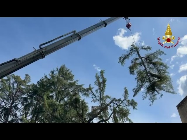 Doppio intervento dei Vigili del Fuoco di Arezzo a causa del forte vento che nelle ultime ore ha provocato la caduta di alberi in città