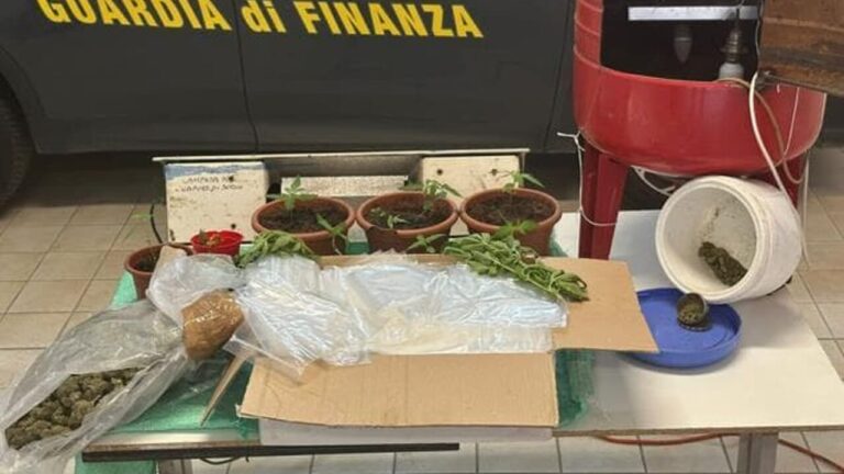 I finanzieri un scherzano: beccato co’ l’erba e preso anche ‘n latitante furbetto