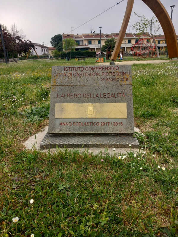 Piantarono l’albero della legalità. Sparito pure quello: ‘Forse dava noia all’abusivismo edilizio’
