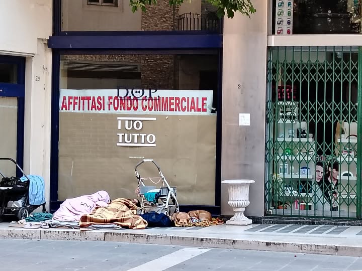 Due coperte, cinque cani e 127 esperti: Arezzo risolve tutto nei commenti