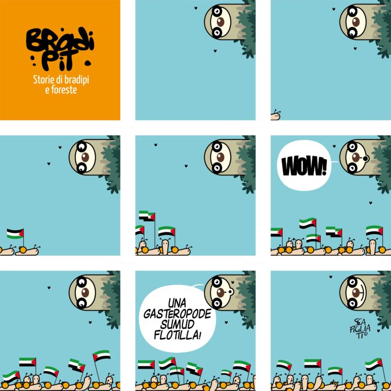 Flotilla!