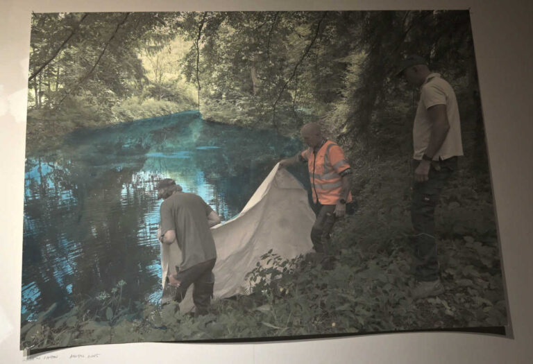 Paesaggi Assoluti: il bosco diventa artista nelle opere di Roberto Ghezzi