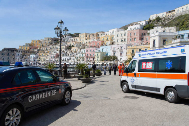 Bimbo di 7 anni azzannato da un pitbull a Ponza: ferito alla gamba, individuato il proprietario