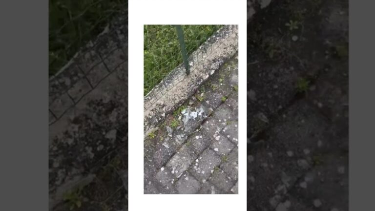 La denuncia di una cittadina di San Giustino Valdarno: “Due operazioni in meno di 24 ore. Nei giardini e nell’erba troviamo vetri ovunque”