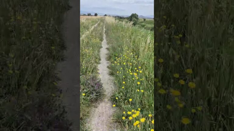 Turismo lento? No, turismo col machete: sul Sentiero della Bonifica si pedala a intuito e si corre a “ruschiate”