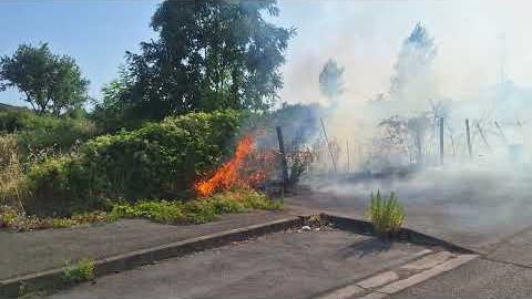 Incendio Carbonaia