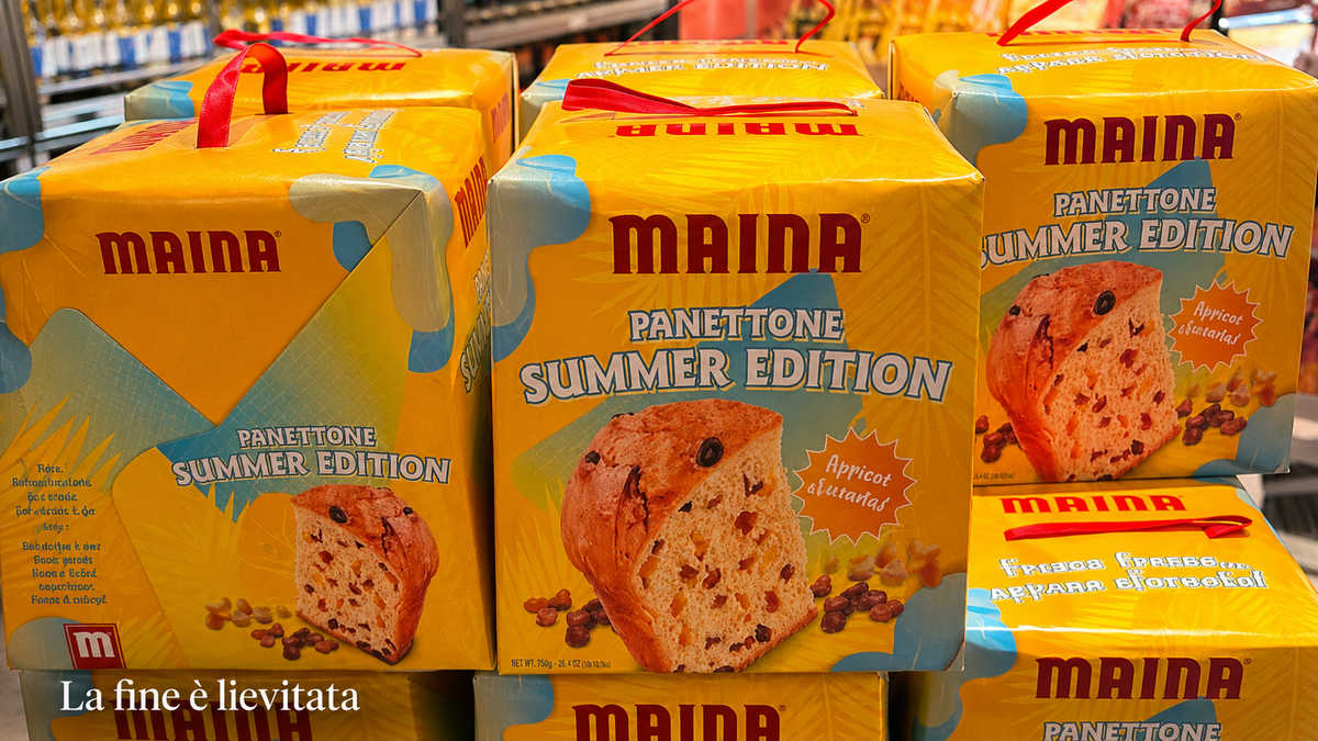 Maina summer edition