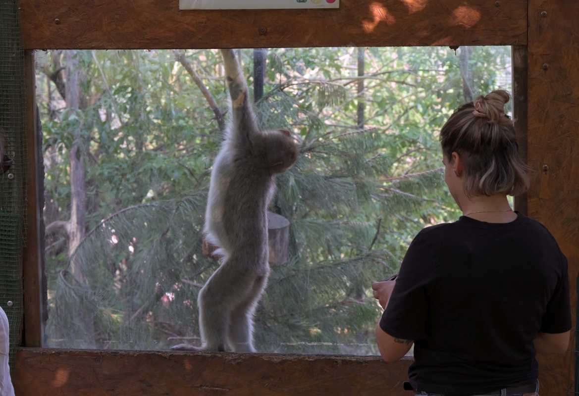 Parco Zoo di Poppi (6)