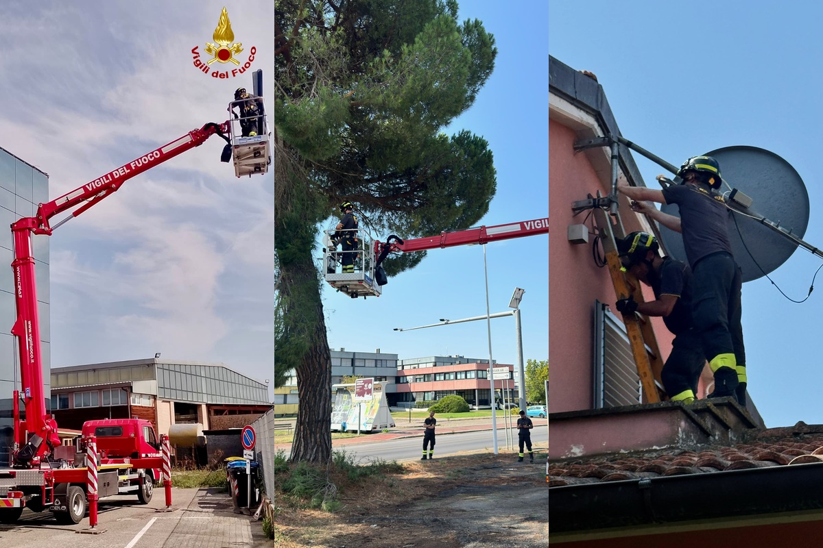 vigili-del-fuoco