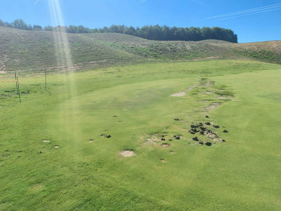 golf-cavriglia-recinzione-tagliata-cinghiali.jpg Recinzione danneggiata al campo da golf Le Miniere di Cavriglia