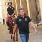 Cavallo e cavaliere diretti verso Piazza Grande per le prove della Giostra