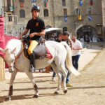 Cavaliere su un cavallo bianco nella lizza di Piazza Grande