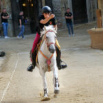 Giostratore su cavallo bianco durante una prova in Piazza Grande