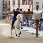 Giostratore su cavallo bianco affronta il Buratto durante le prove