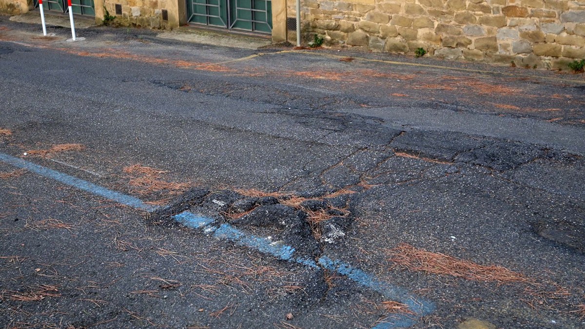 Asfalto deformato e sollevato dalle radici dei pini in via Fra’ Guittone ad Arezzo